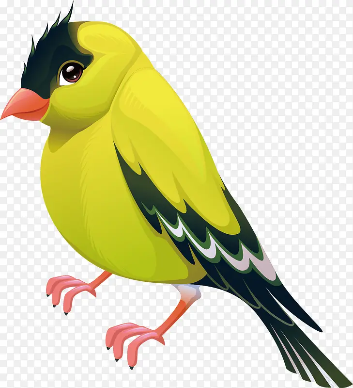 �ֻ�����PNG����-������