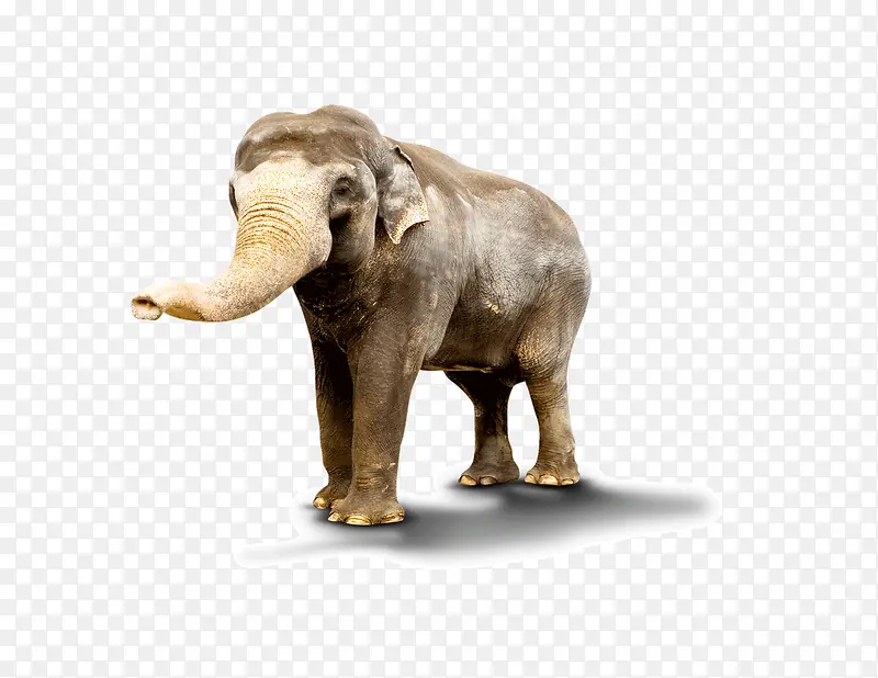 ������-������