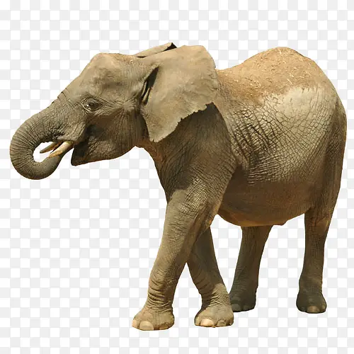 Ұ�����-������