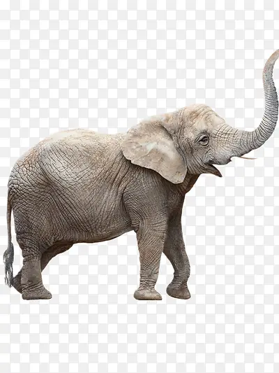 ����-������