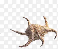 ������Ӱ�������-������