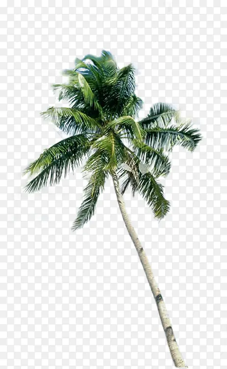 ����ɳ̲����Ч����Ӱͼ-������