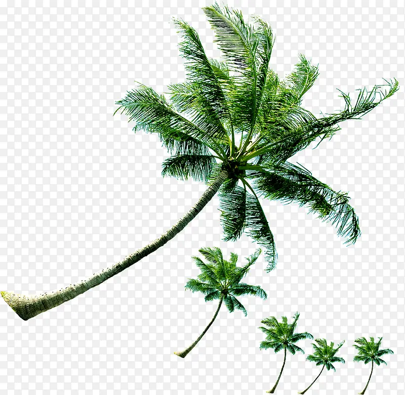 ��Ӱɳ̲����Ҭ����-������