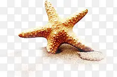 �������պ��ߺ�����Ӱ-������