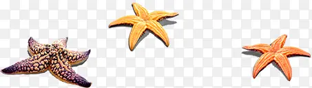 ��Ӱ���캣�ߺ���-������