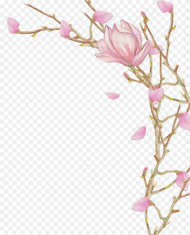 �ֻ�ֲ�ﻨ��-������