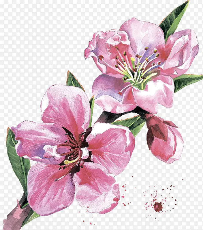 �ֻ�ֲ�ﻨ��-������