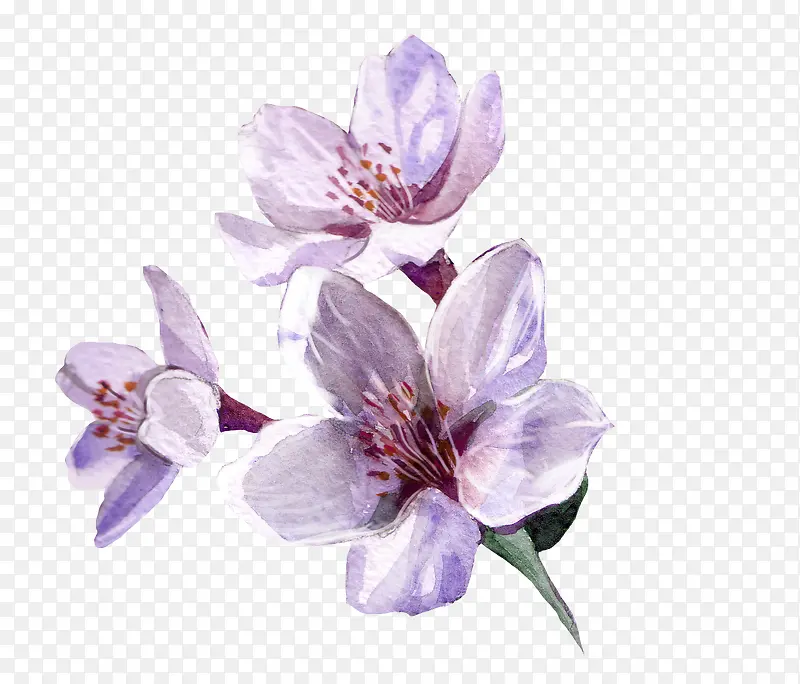 �����ֻ�-������