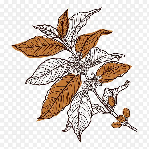 �ֻ�ֲ�ﻨ��-������