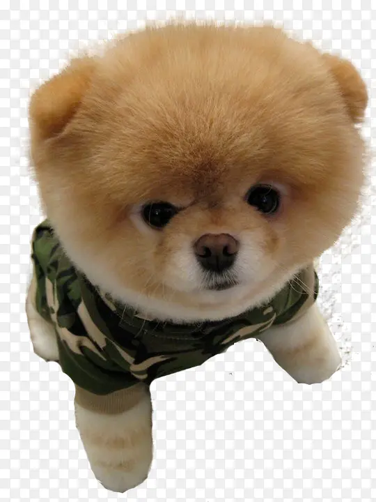 ��ë�ȿɰ���-������