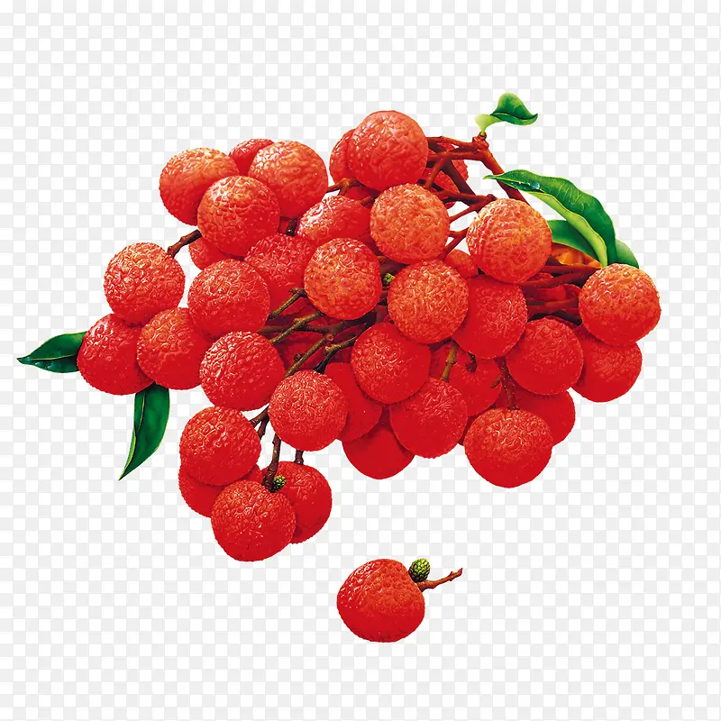 ��֦ͼ��-������