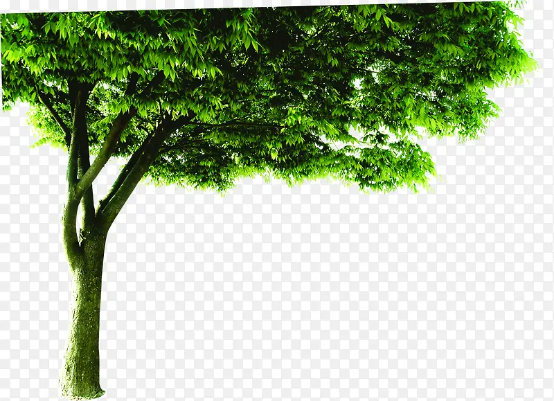 ���캣�����´���-������