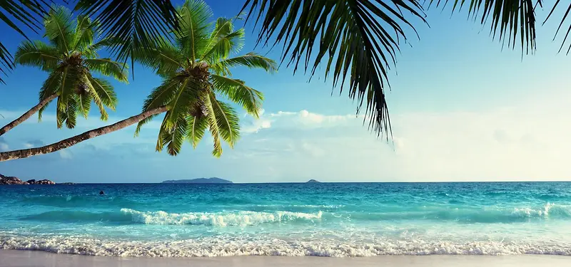 ��Ӱ����-������