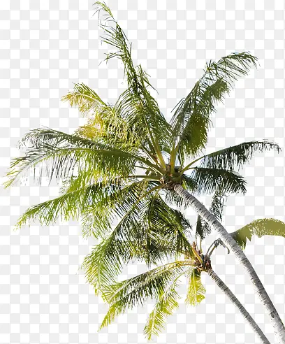 Ҭ����-������