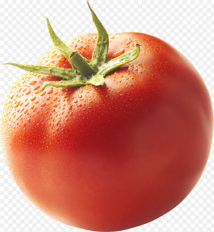 ��������ˮ��������-������