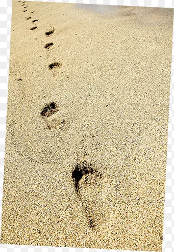 ������Ӱ����ɳ̲-������