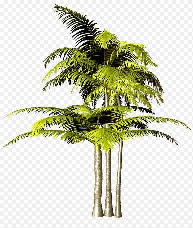 ����-������