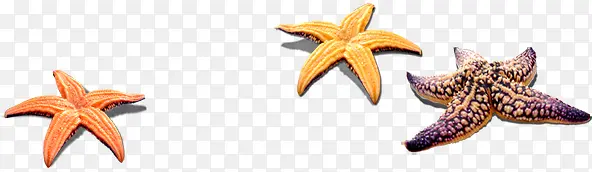 �ɰ���̲���Ǻ���-������