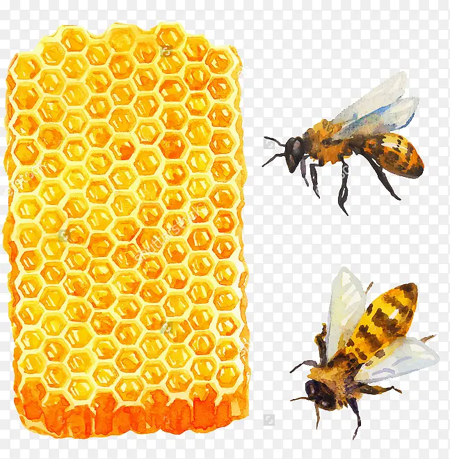 ����-������