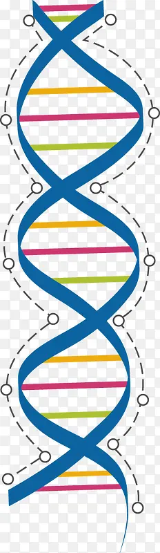 ��ɫDNA-������