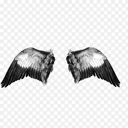 ���-������