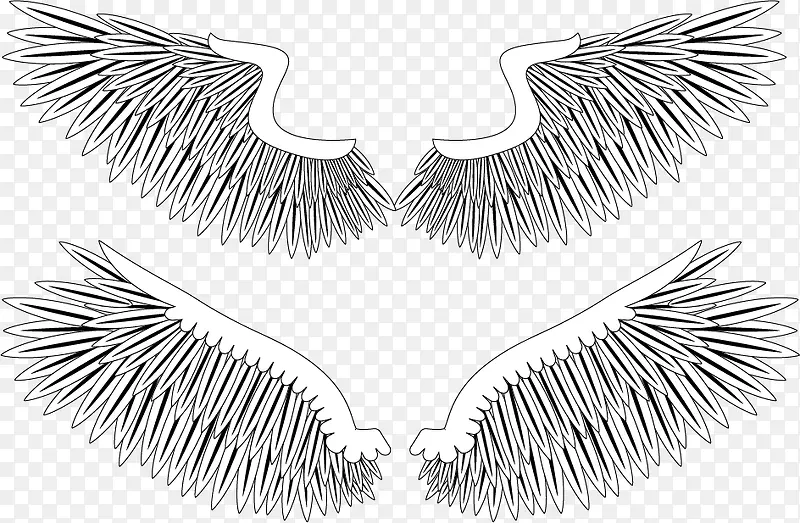 ���Ԫ��ʸ��ͼ-������