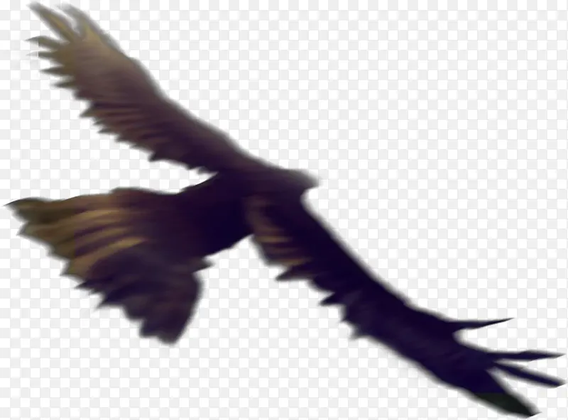 �ֻ濨ͨ�����ӥ-������