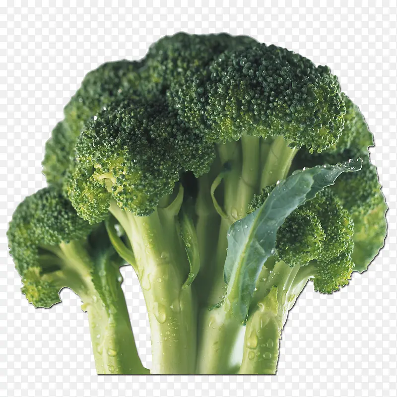 �߲�������-������