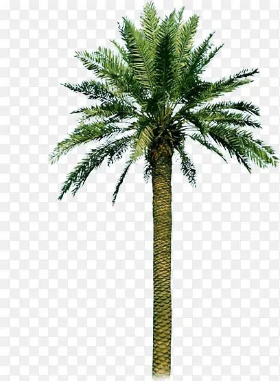 �����-������