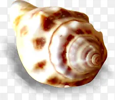 ��Ӱɳ̲����Ч��-������