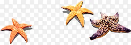 ����ɳ̲������Ӱ����-������