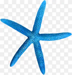 ����ɳ̲��ɫ������Ӱ-������