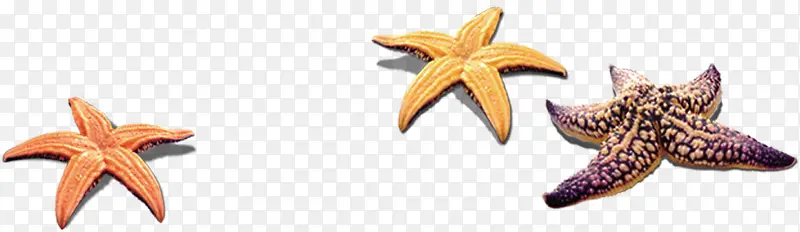 ���ɳ̲���⺣���������-������