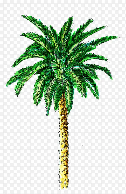 �ֻ�Ҭ��ɳ̲�廭-������