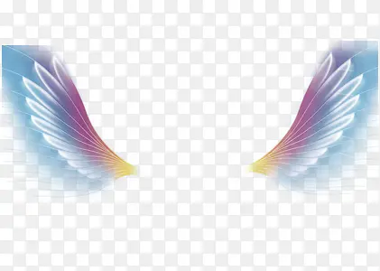 �ſ��ĳ��-������