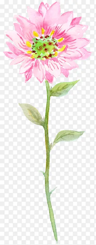 ����ˮ�ʻ���-������