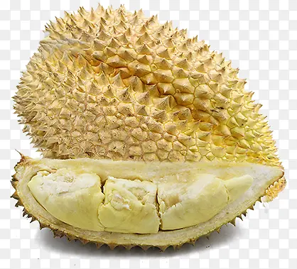 ʳ��-������