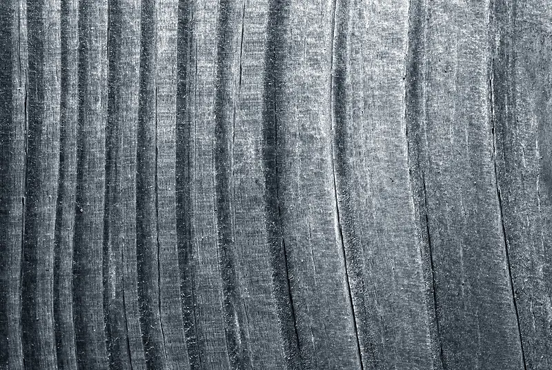 ����ľ����������-������