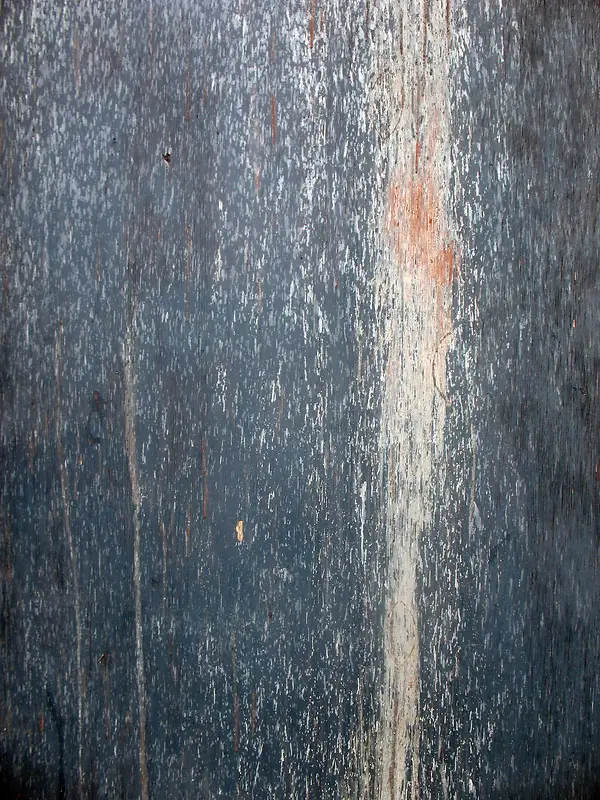 ����ľ�Ʊ���-������