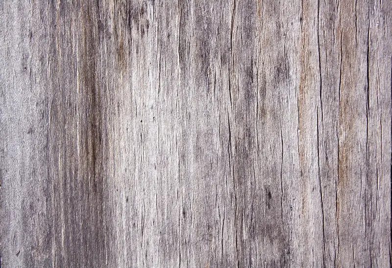 ����ľ�屳������-������