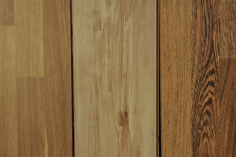 ľ����Ӱ-������