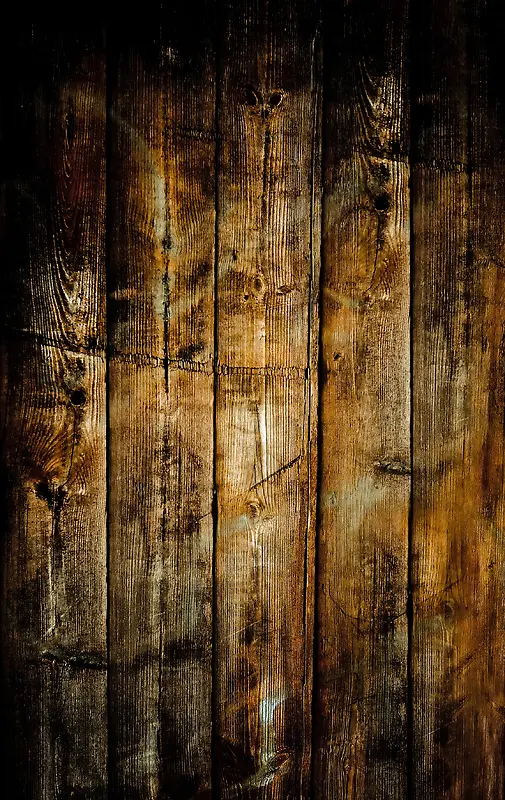 ľ�Ʊ���-������