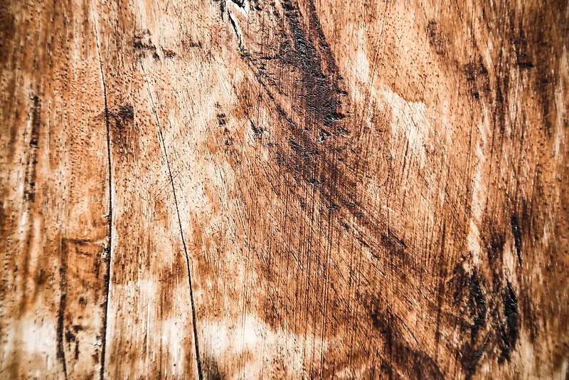 ����ľ�屳��-������