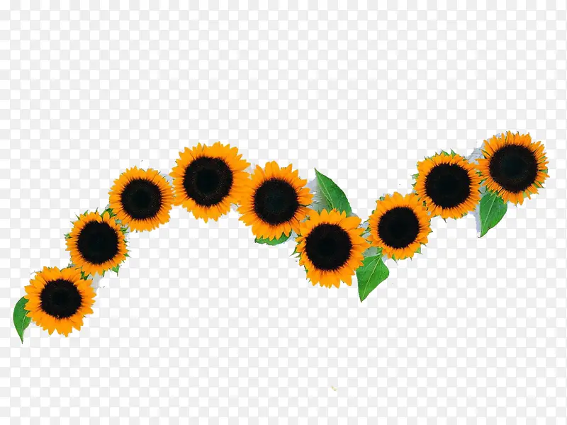 ���տ�-������