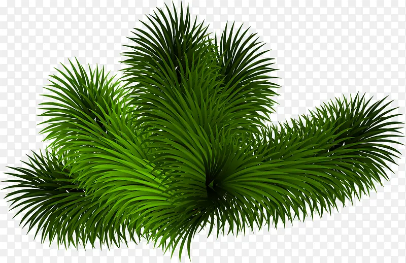 ��ɫ������֦Ԫ��-������