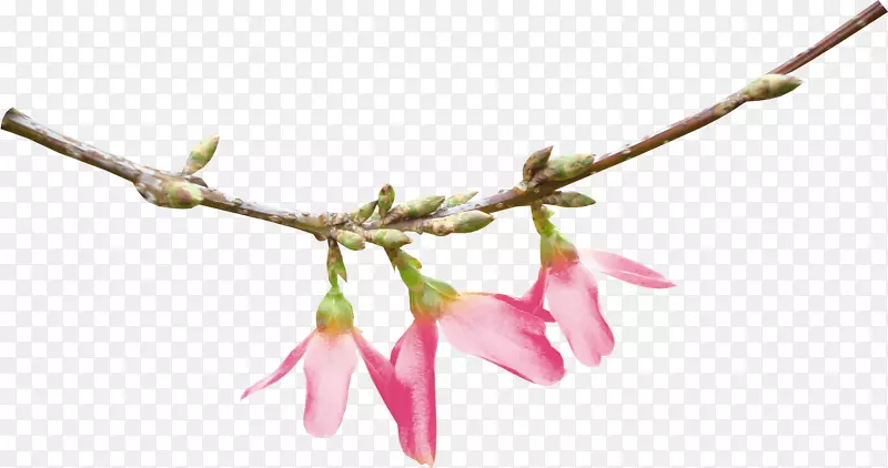 ������-���컨-������