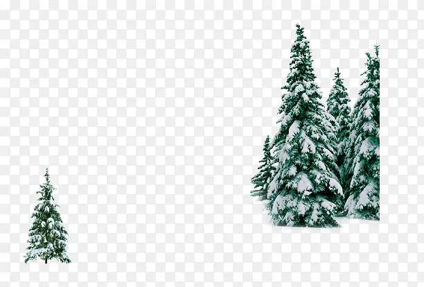 ʥ��������-������