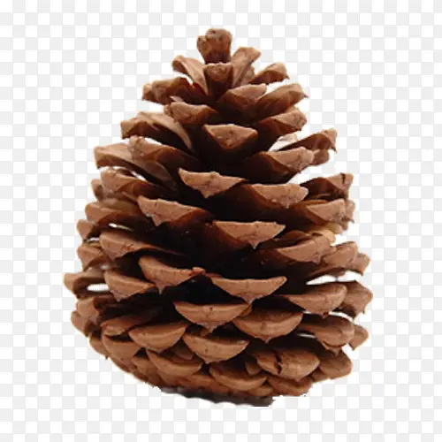 ����ʵ��-������