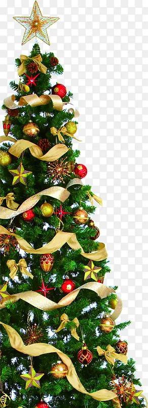 �ֻ�ʥ������������-������