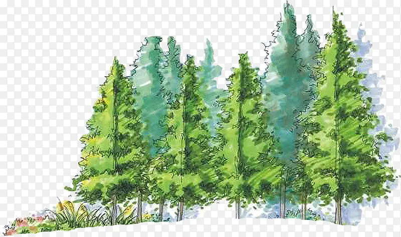 ���崴����������-������